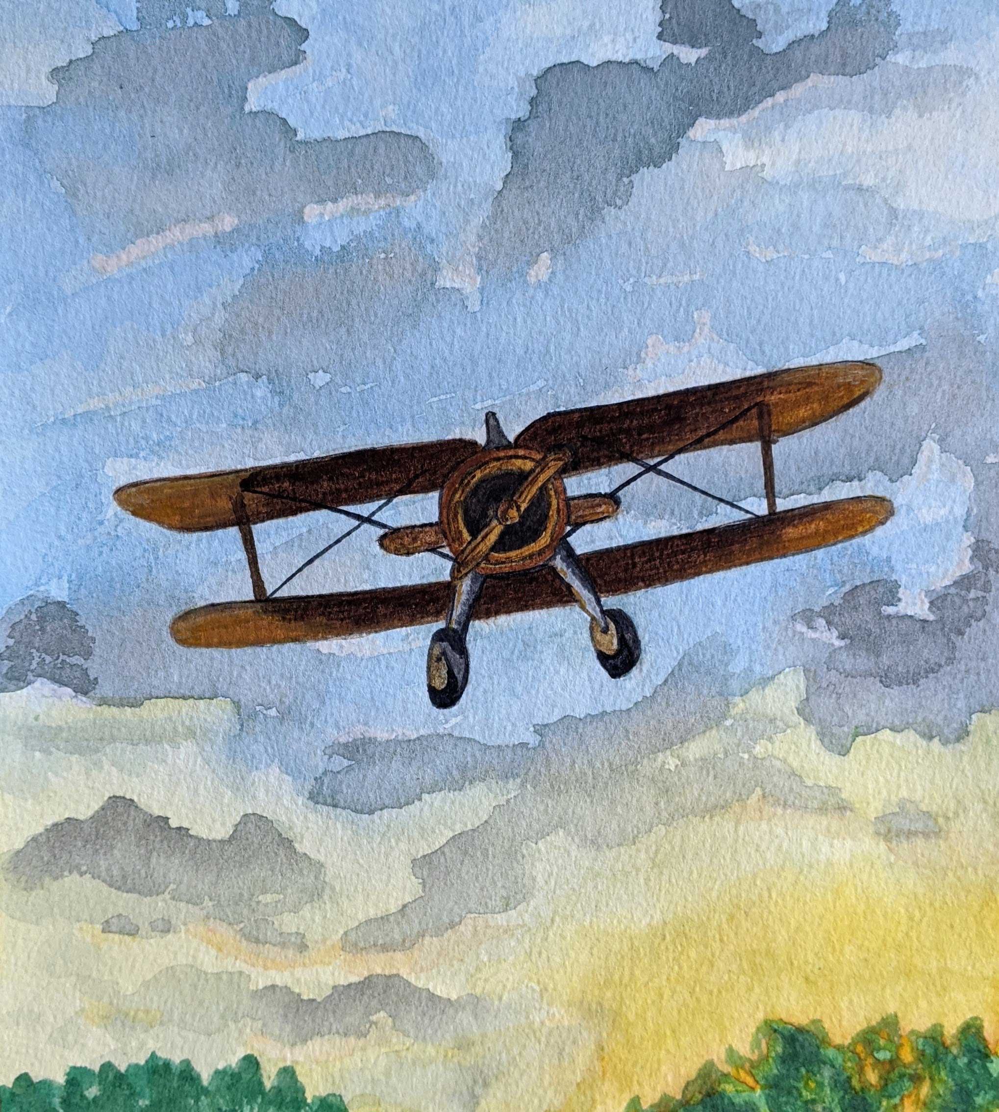 Taking Flight