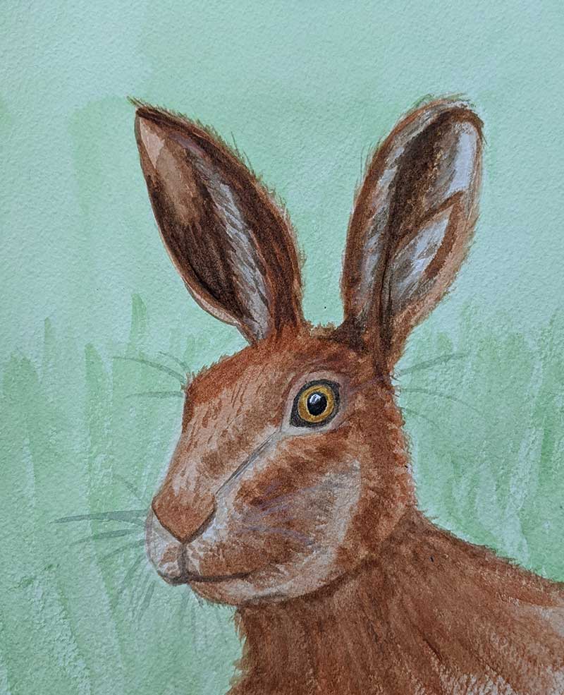 Hare in Watercolour